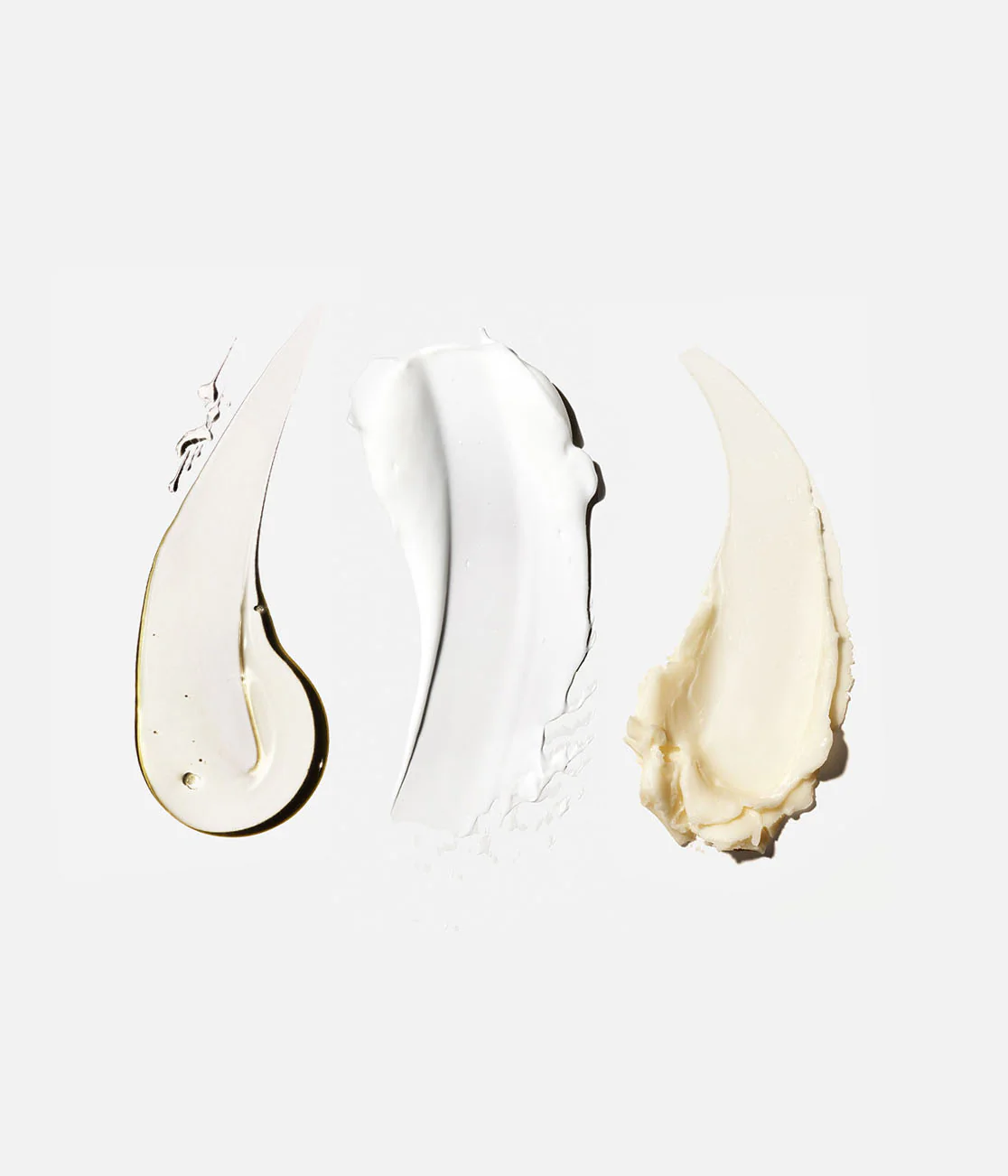 The Body Essentials - Image 3